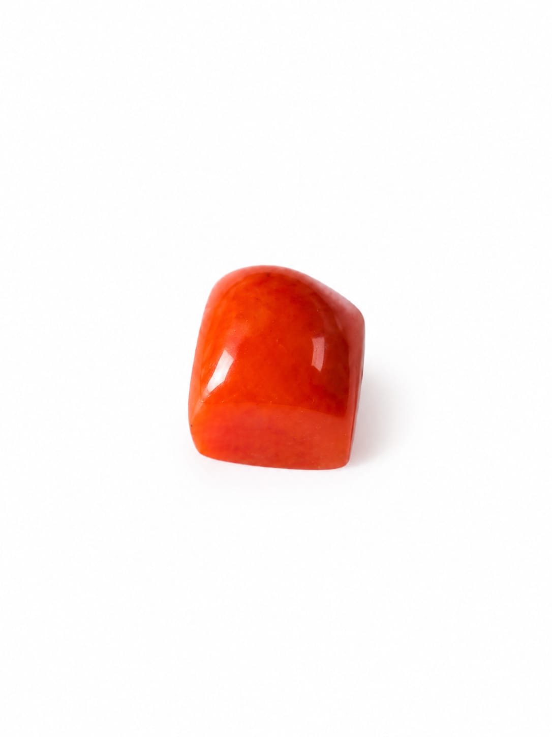 Red Coral / Pola